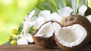 Resep Kelapa Yang Akan Membuat Anda Menyukai Kelapa